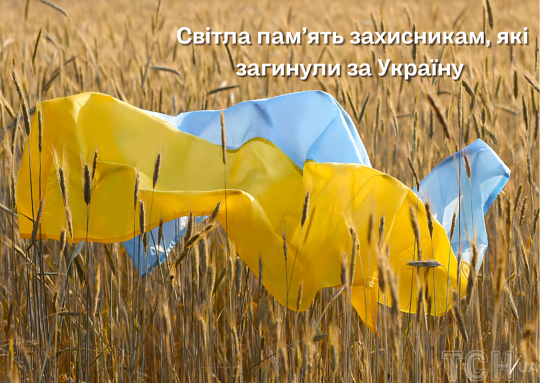 7a2ace6d03f9e9a2c9306f30299952db